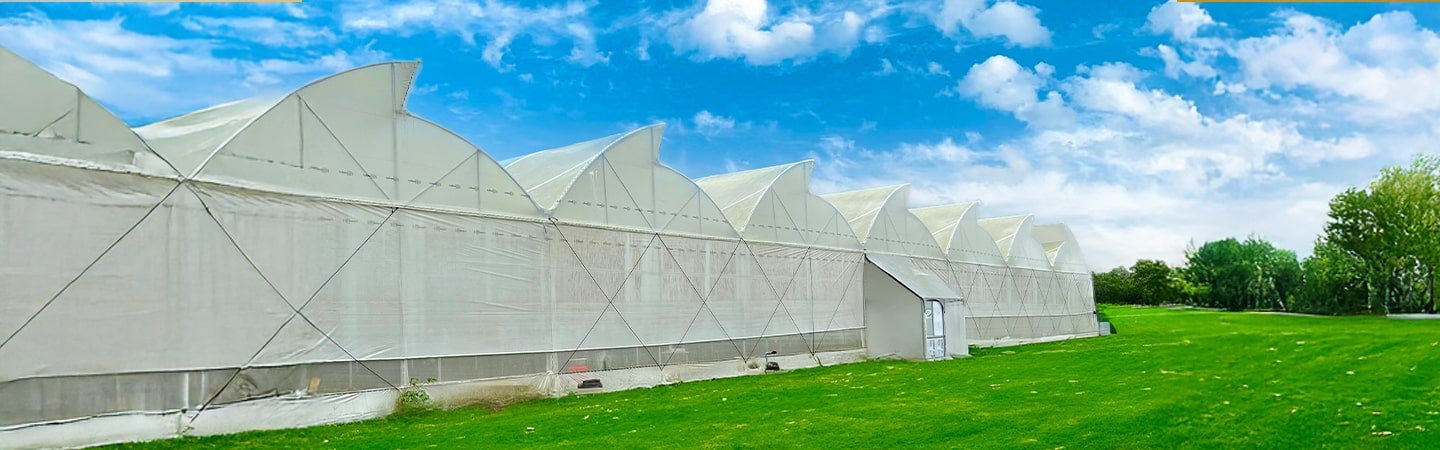 Ginegar Greenhouse Films