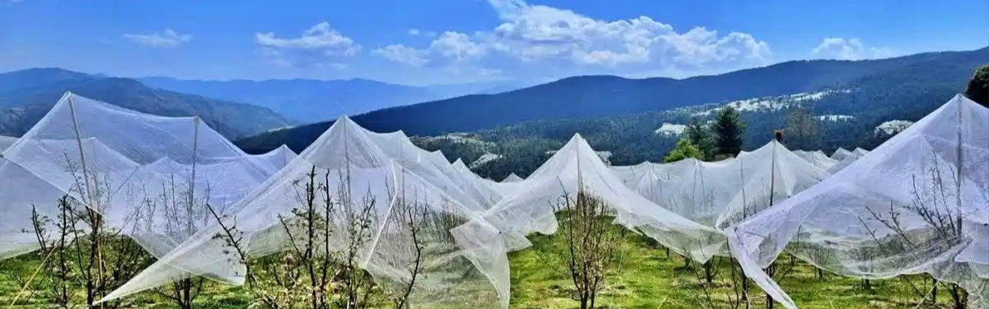 Anti-Hail Net