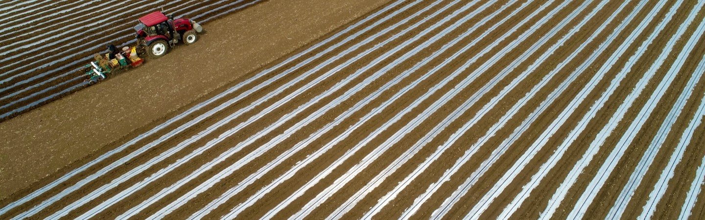 Soil Solarization Film