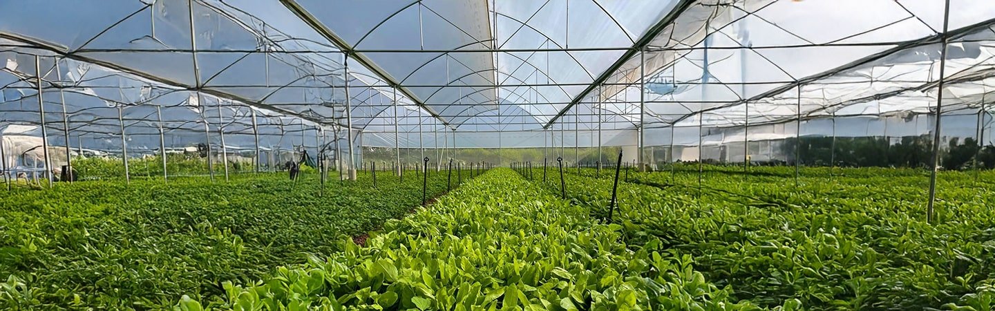 Greenhouse Accessories