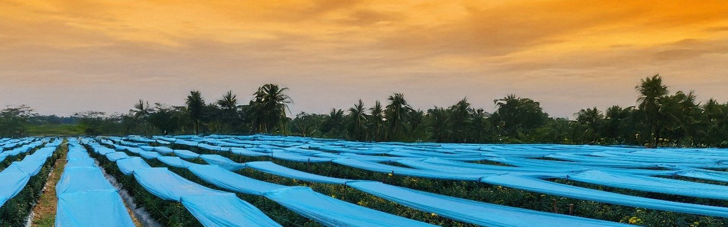 Agrifirst Crop Shield Cover