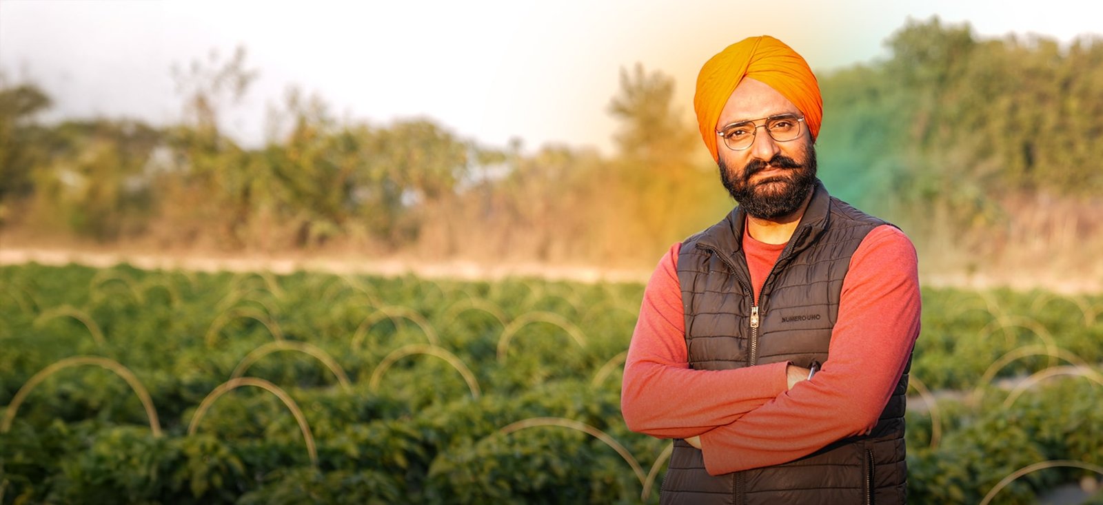 Image of Cultivating Prosperity