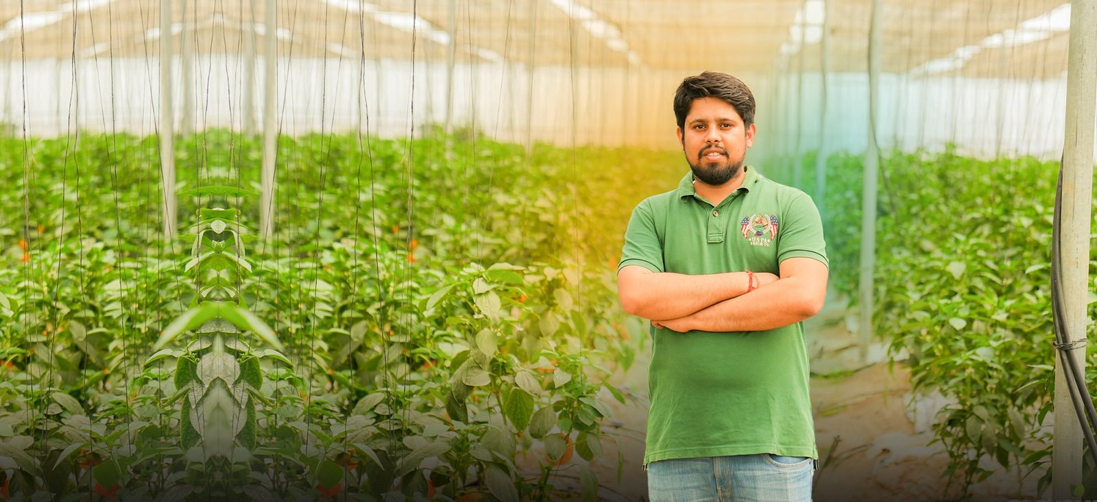 Image of All against Odds