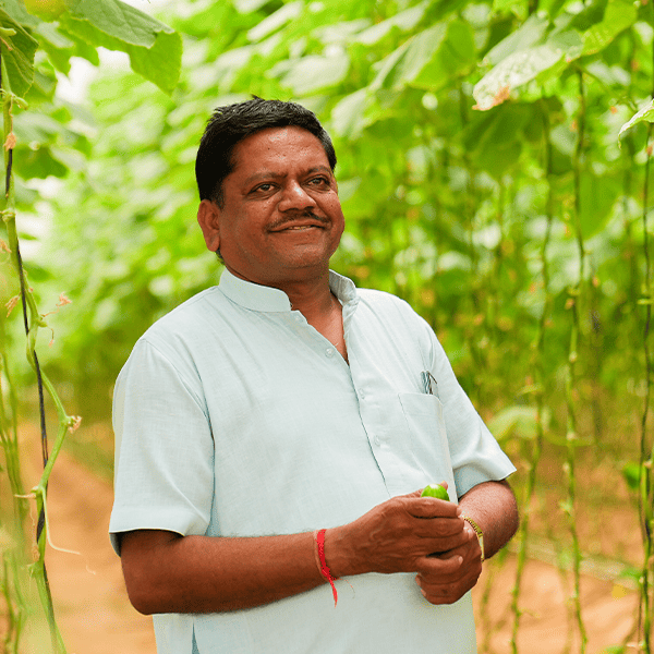 Ashish Gupta's image