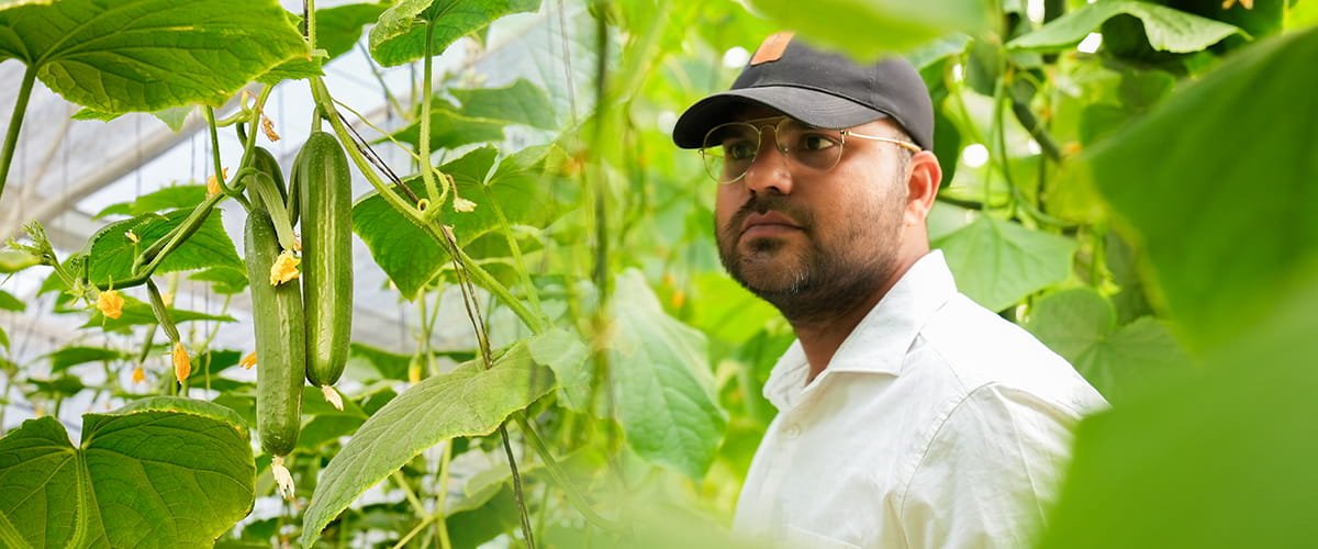 How Agrifirst Helped Pranjal Mishra Shift from IT to Farming