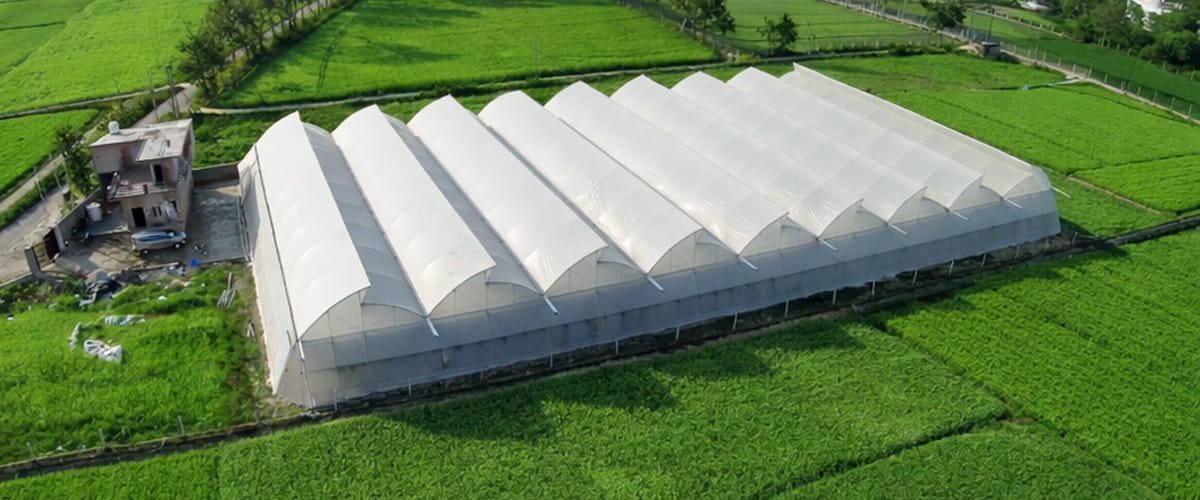 A Comprehensive Guide to Starting Your Polyhouse Farming Journey