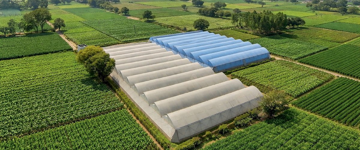 1 Acre NVPH Soilless Farming: Capsicum & Cucumber ROI with Complete Economics