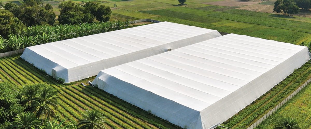 Agrifirst 1 acre double layer net house structure for soil-based vegetable farming — complete ROI and cost breakdown