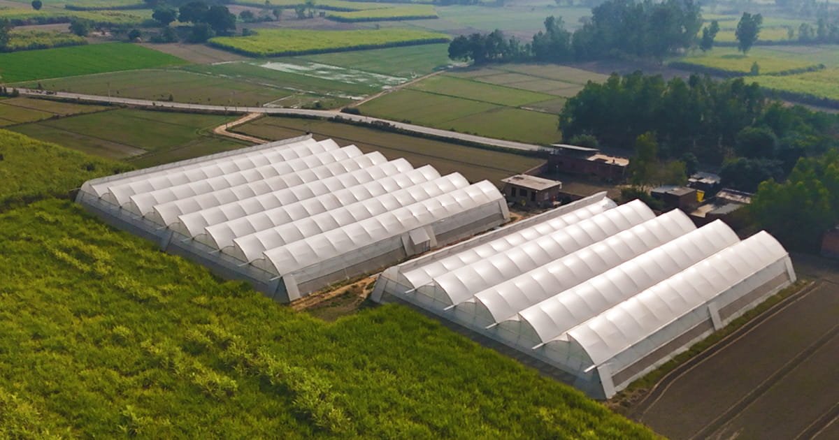 NHB Polyhouse Subsidy 2026: How to Claim 50% Subsidy