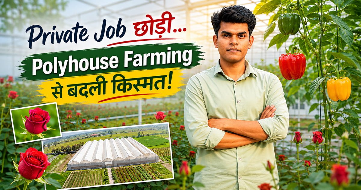Rajeev Singh standing inside hi-tech polyhouse farm in Mirzapur Uttar Pradesh