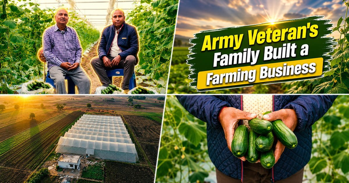 Father and son inspecting cucumber plants in protected cultivation