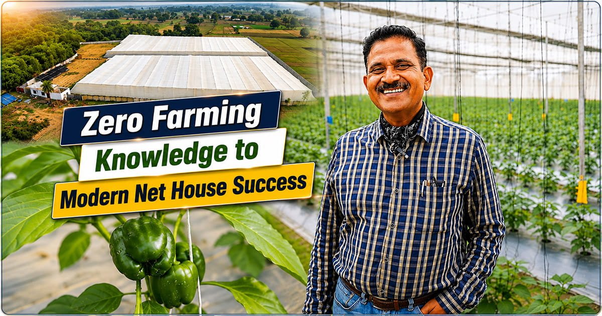 Santosh Ojha standing inside a 2-acre double-shaded net house in Lucknow