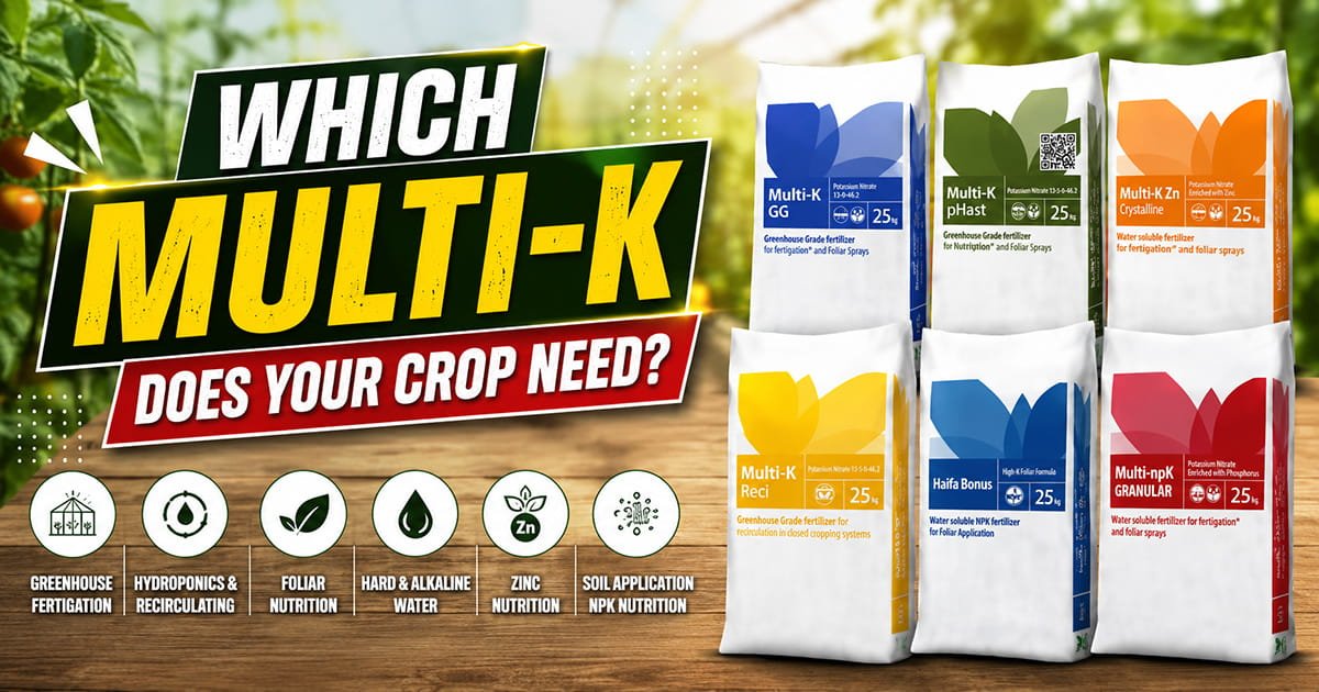 Haifa Multi-K potassium nitrate products for greenhouse, hydroponic, foliar and crop nutrition, including Multi-K GG, Reci, Zn, pHast, Haifa Bonus and MultinpK