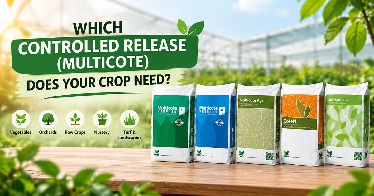 Haifa Controlled Release Multicote fertilizer range with CoteN, Multicote Agri, Multicote Premier and Multicote Turf for crop nutrition