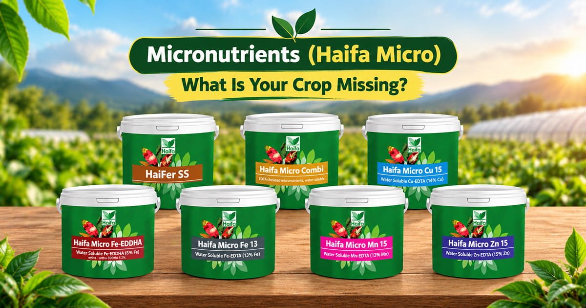 Haifa Micro micronutrient fertilizer product range including Cu 15, Fe 13, Mn 15, Zn 15 and Hydroponics Mix