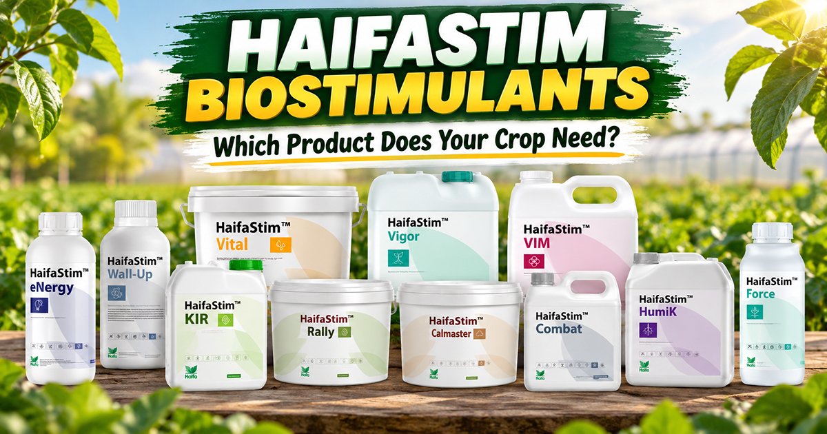 Haifa Biostimulants (HaifaStim): Complete Guide