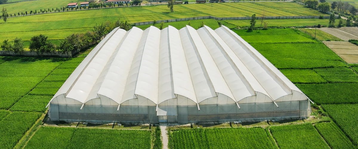 Why Agrifirst Is India's #1 Choice for Polyhouse & Greenhouse Construction