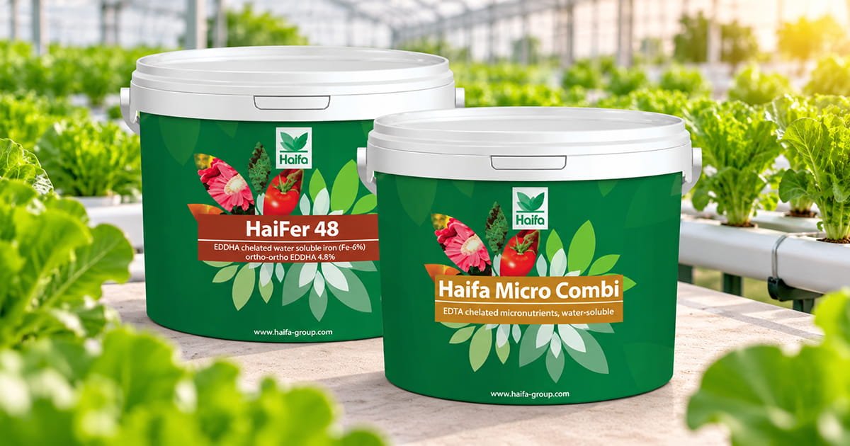 Haifa Micro Hydroponics Mix micronutrient fertilizer for hydroponic crops