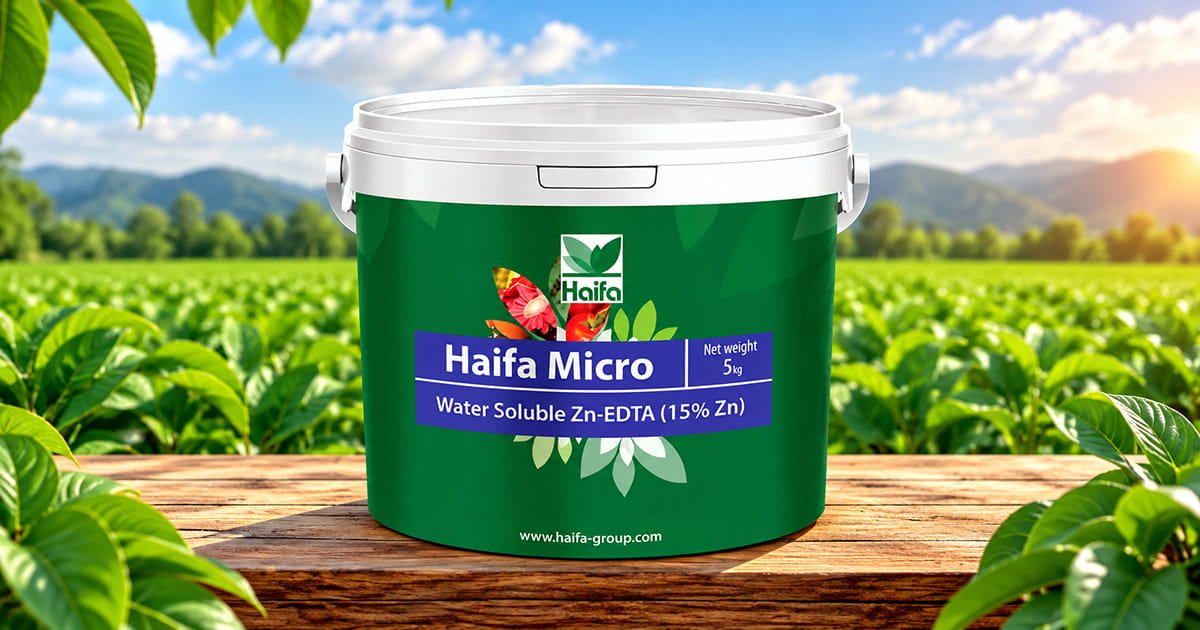 Haifa Micro Zn 15 zinc micronutrient fertilizer for healthy crop growth