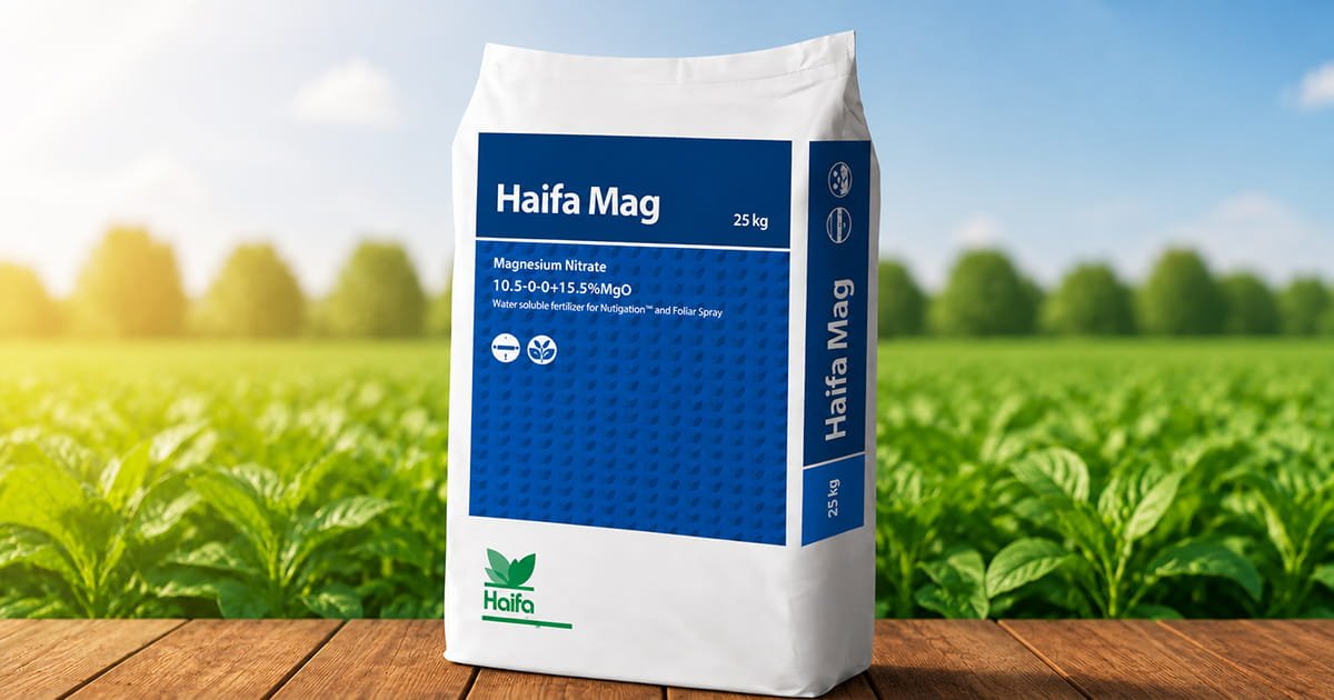 Haifa Mag water soluble magnesium nitrate fertilizer for magnesium nutrition and crop fertigation