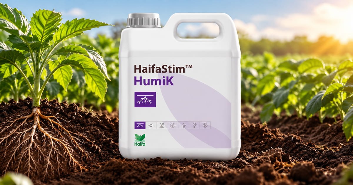 HaifaStim Humik biostimulant for supporting healthy plant growth, soil and plant development, and crop performance.