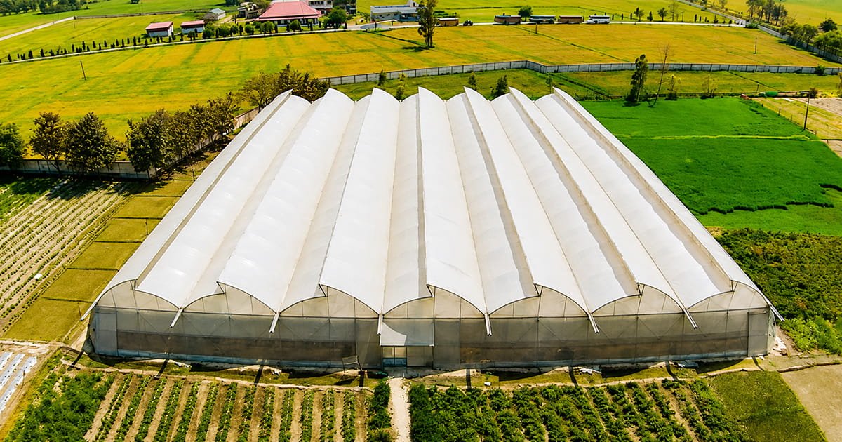 Modern Naturally Ventilated Polyhouse (NVPH) for protected cultivation of high-value vegetables in India