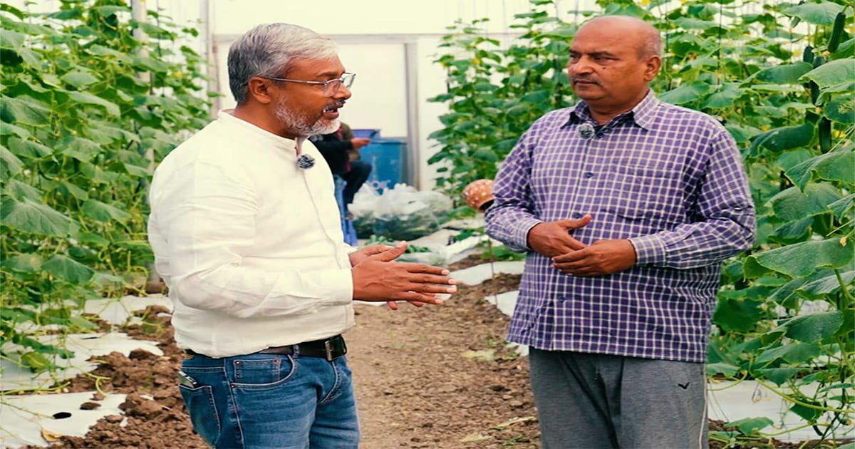 Retired Indian Army veteran Vivendra Kumar Rai standing at his cucumber polyhouse farm