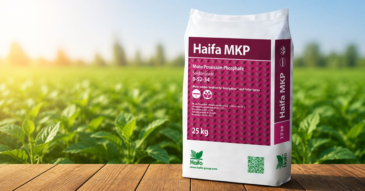 Haifa MKP 0-52-34 water soluble mono potassium phosphate fertilizer for flowering and fruit development