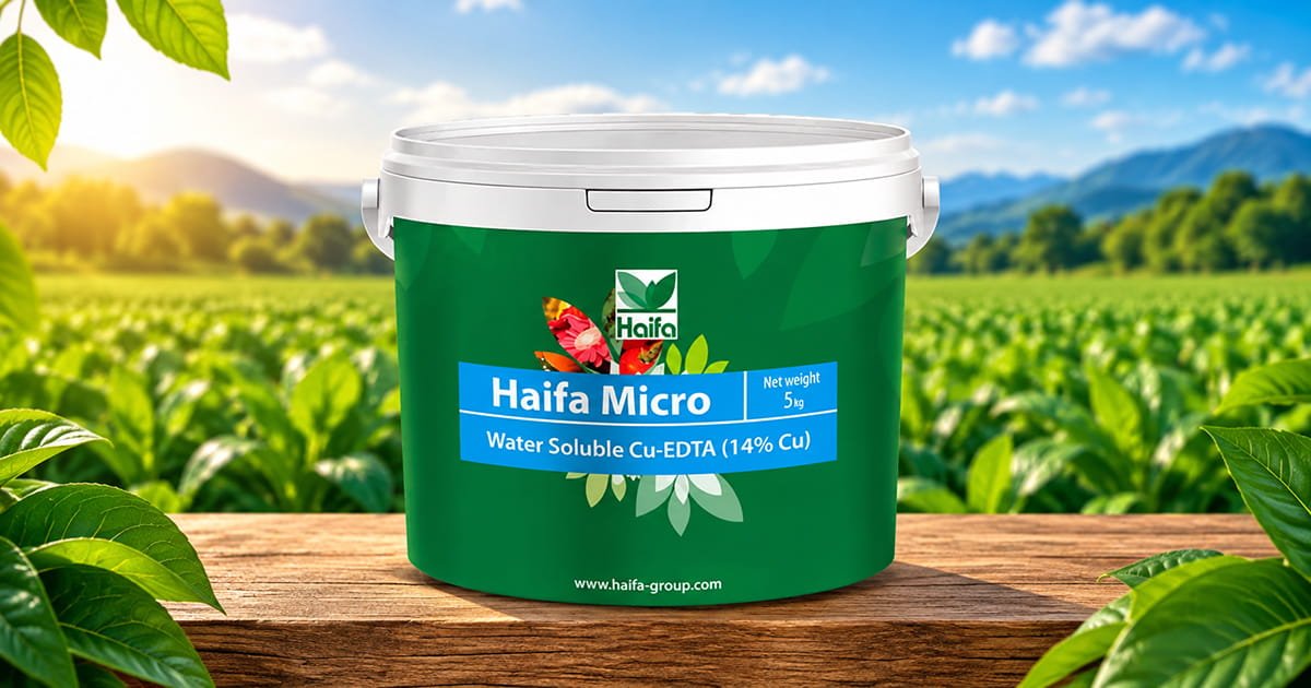 Haifa Micro Cu 15 copper micronutrient fertilizer for crops