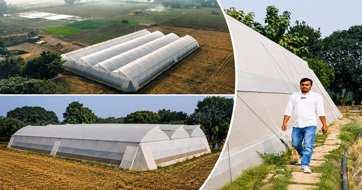 AgriFirst commercial polyhouse helping farmers achieve higher crop yields