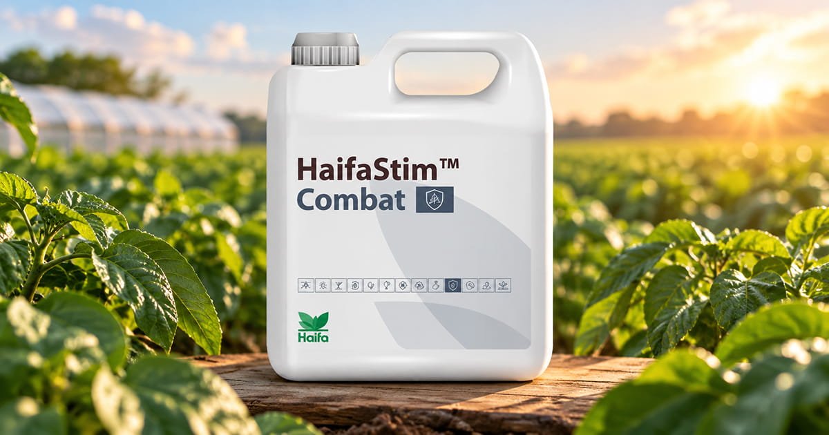 HaifaStim Combat biostimulant for supporting healthy crop growth, plant development and crop performance.