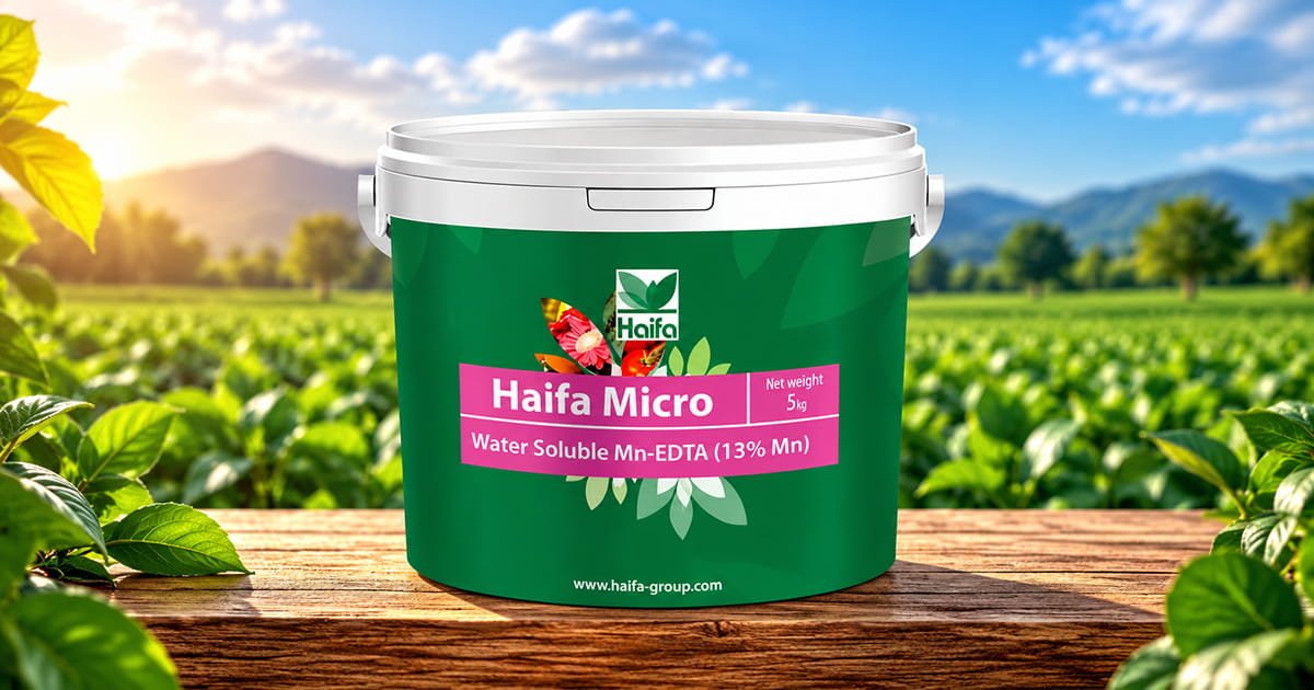 Haifa Micro Mn 15 manganese micronutrient fertilizer for crop nutrition