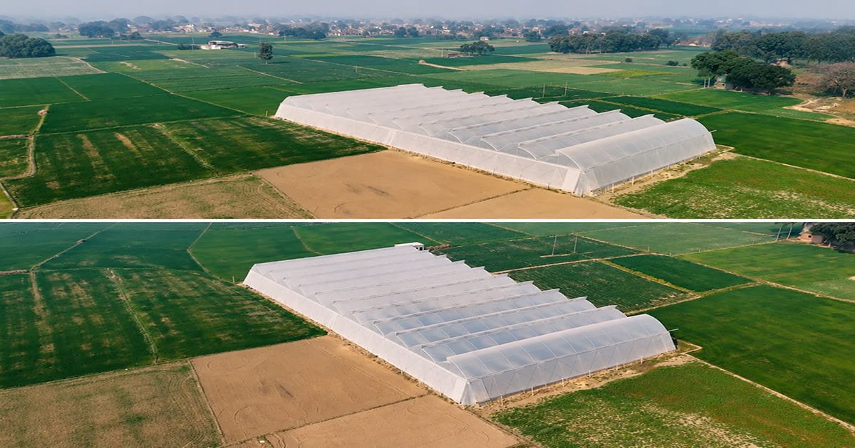 Polyhouse construction by AgriFirst