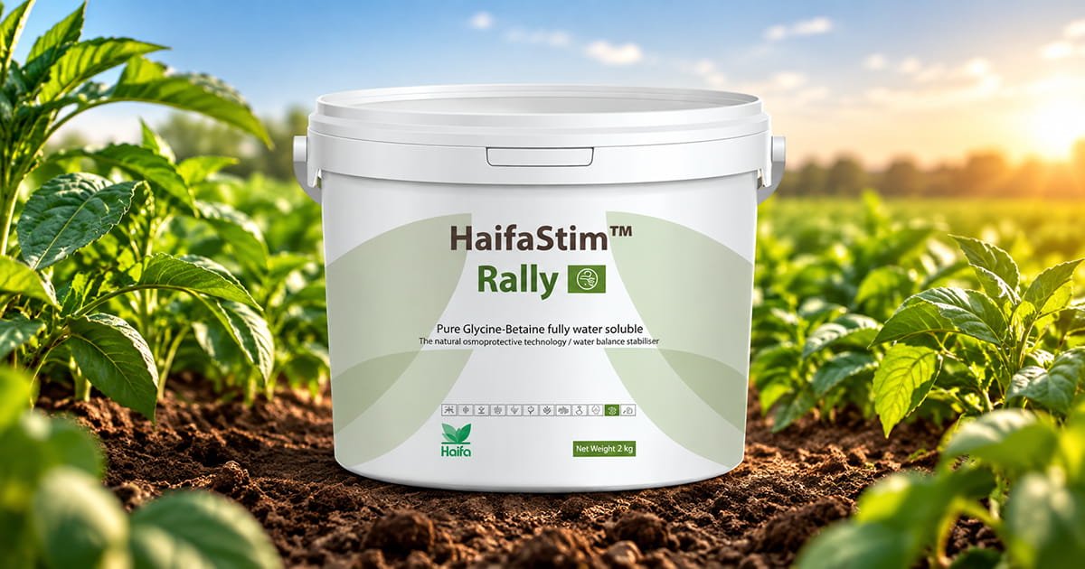 HaifaStim Rally biostimulant for supporting healthy crop growth, plant development and crop performance.