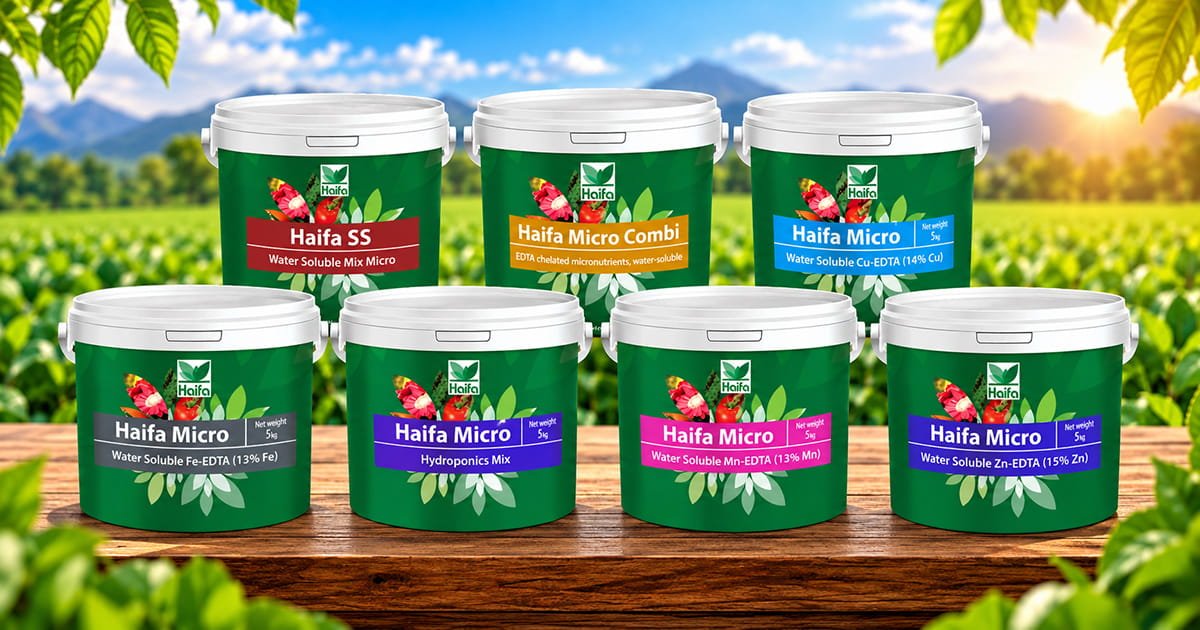 Haifa Micro micronutrient fertilizer product range including Haifa SS, Micro Combi, Micro Cu 15, Micro Fe 13, Hydroponics Mix, Micro Mn 15 and Micro Zn 15 for crop nutrition