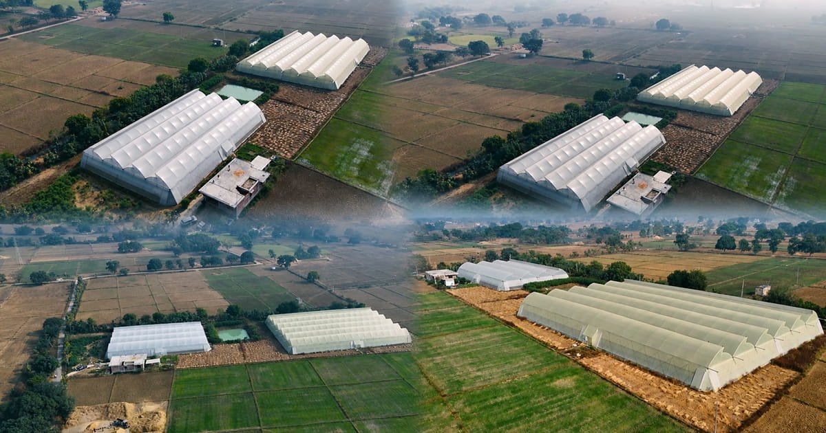 Expanded polyhouse for protected cultivation
