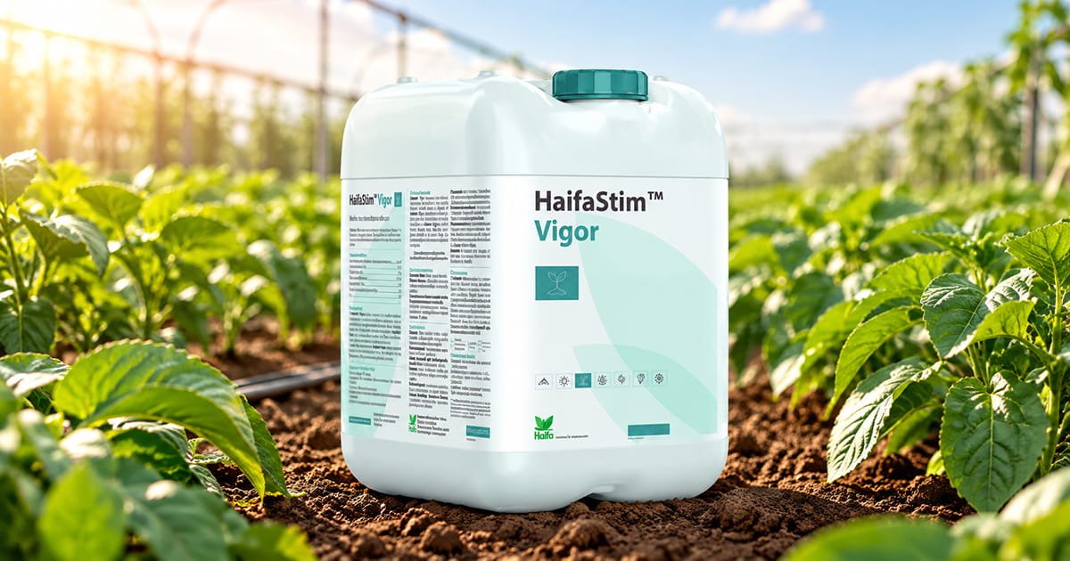 HaifaStim Vigor biostimulant for supporting vigorous plant growth, crop development and healthy crop performance.