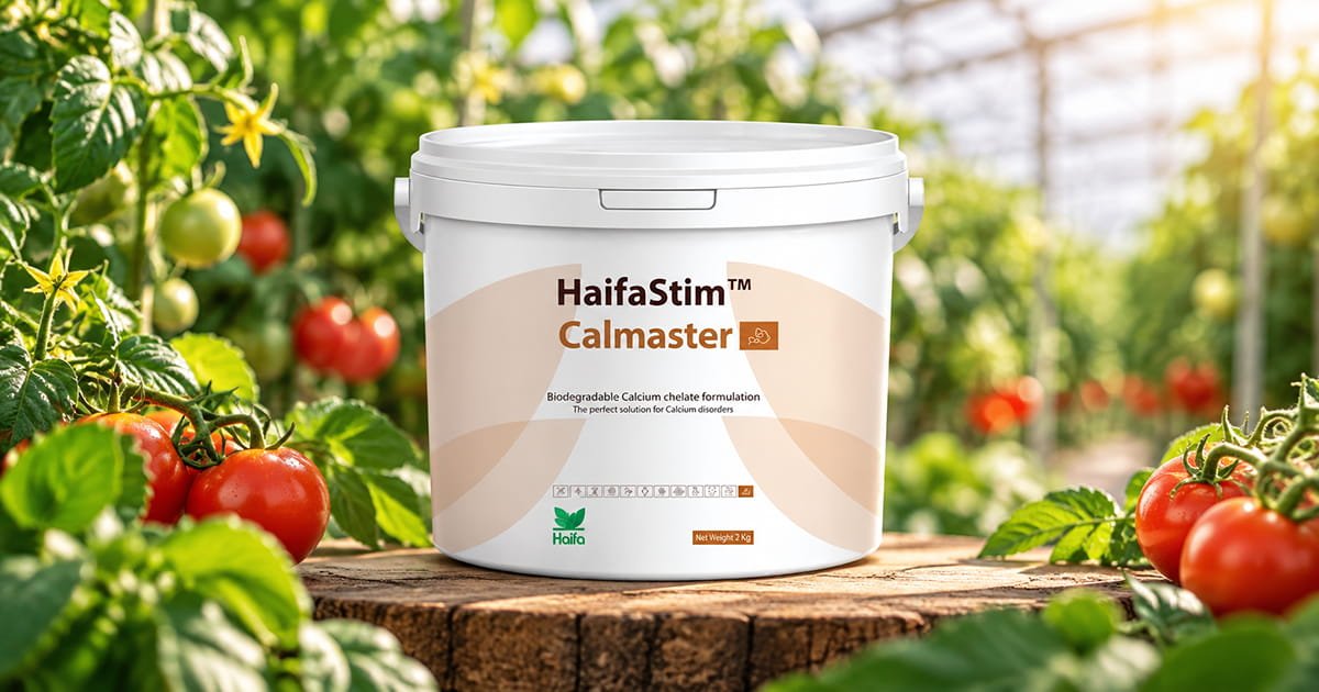 HaifaStim Calmaster biostimulant for supporting plant growth, crop development and overall crop performance.