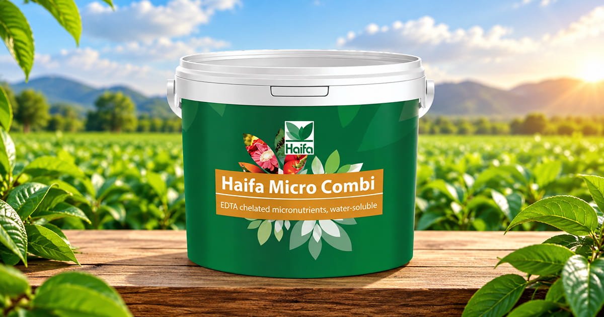 Haifa Micro Combi micronutrient fertilizer for complete crop nutrition