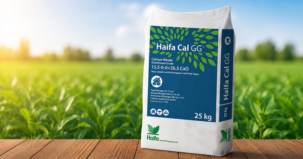 Haifa Cal GG Classic water soluble calcium nitrate fertilizer for calcium nutrition and drip fertigation