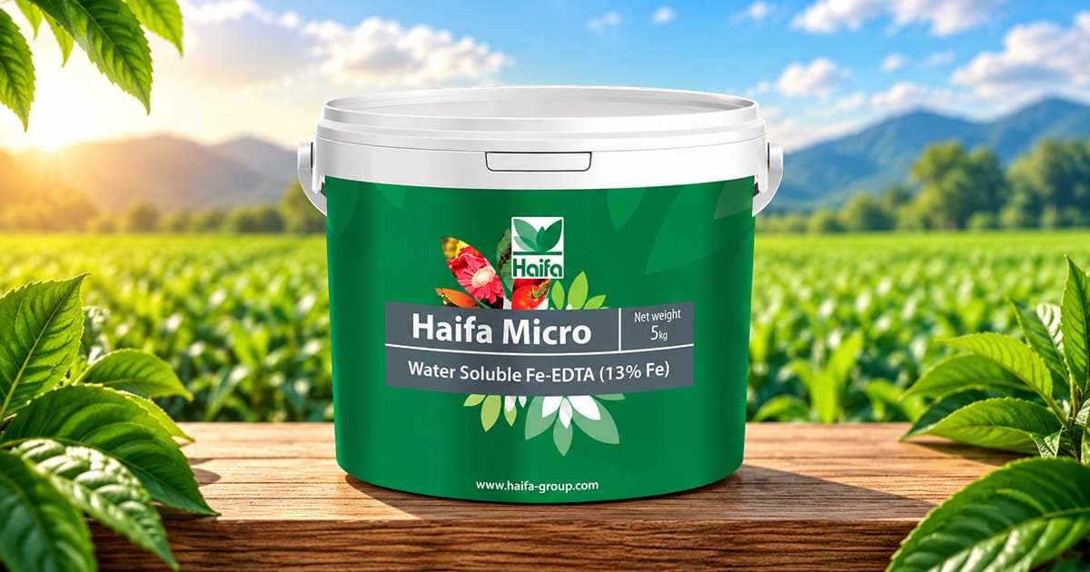 Haifa Micro Fe 13 iron micronutrient fertilizer for healthy crop growth