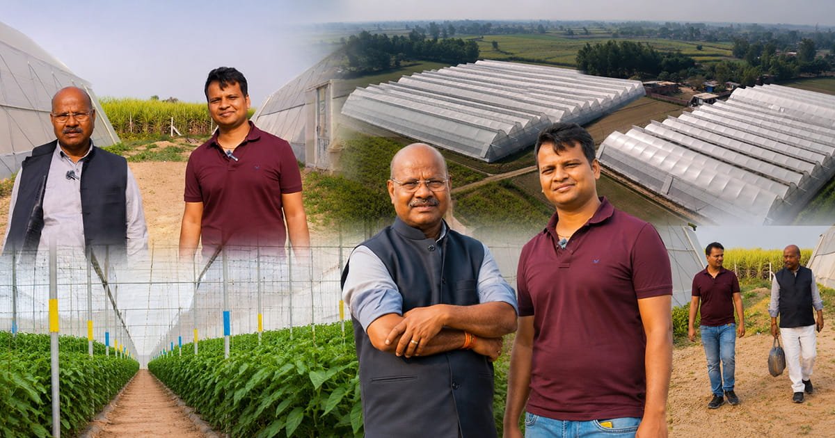 Commercial polyhouse expansion under protected cultivation