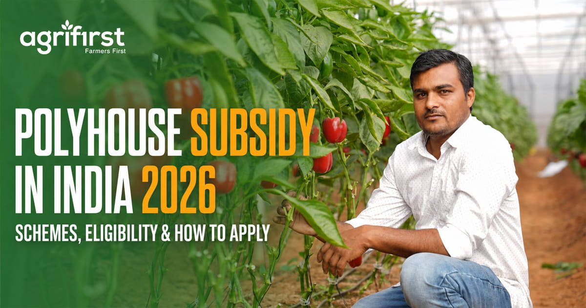 Polyhouse Subsidy in India 2026: Schemes, Eligibility & How to Apply