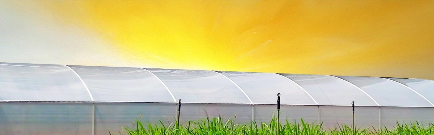 Ginegar Driplock Clear