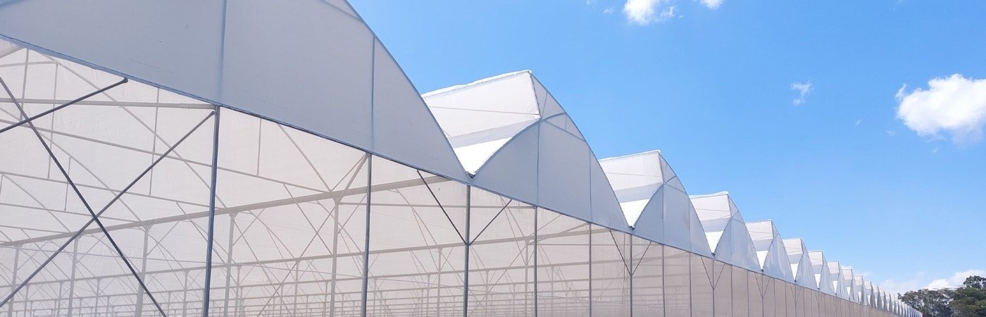 Ginegar Driplock Diffused