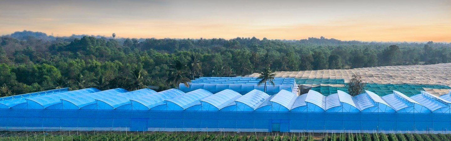 Ginegar Driplock Diffused Blue