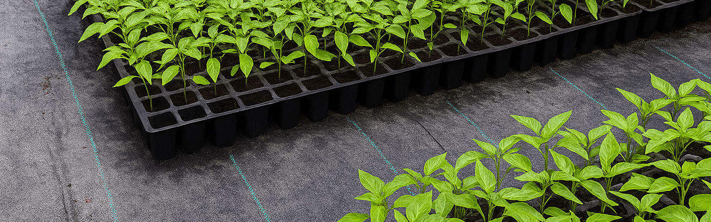 Weed Mat (Ground Cover) 90 GSM