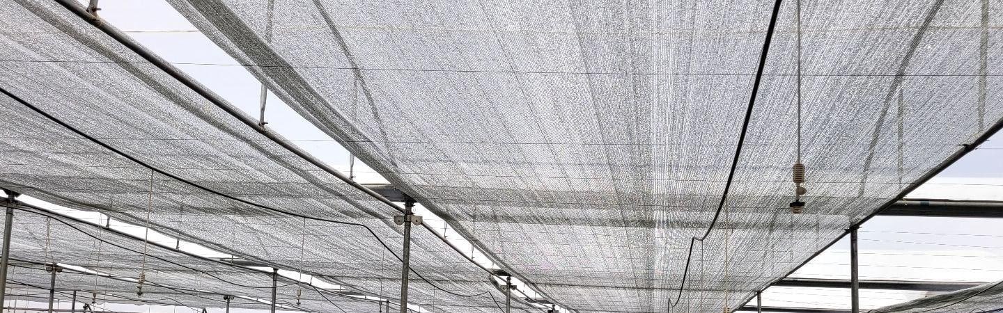 Ginegar Polysack Nets Aluminet