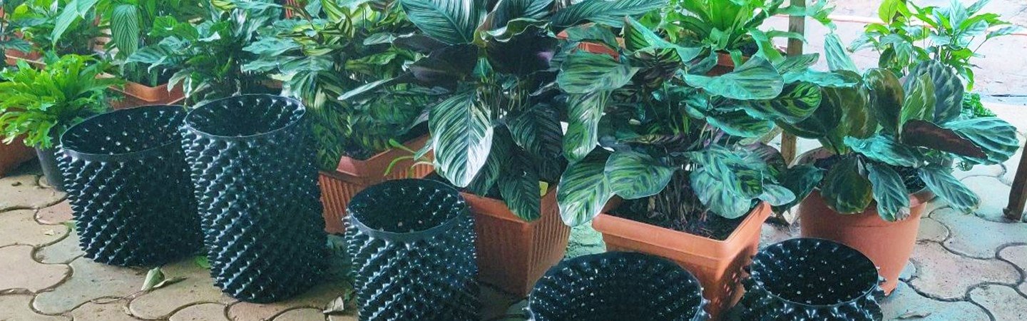 Agrifirst Right Pot Plus