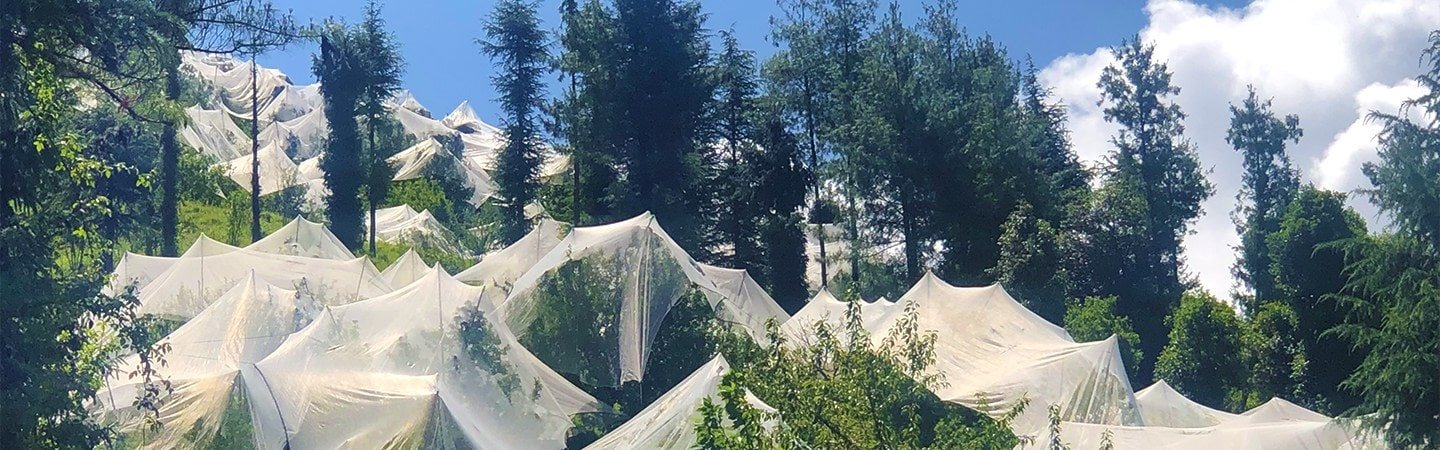 Agrifirst Anti-Hail Net Raschel